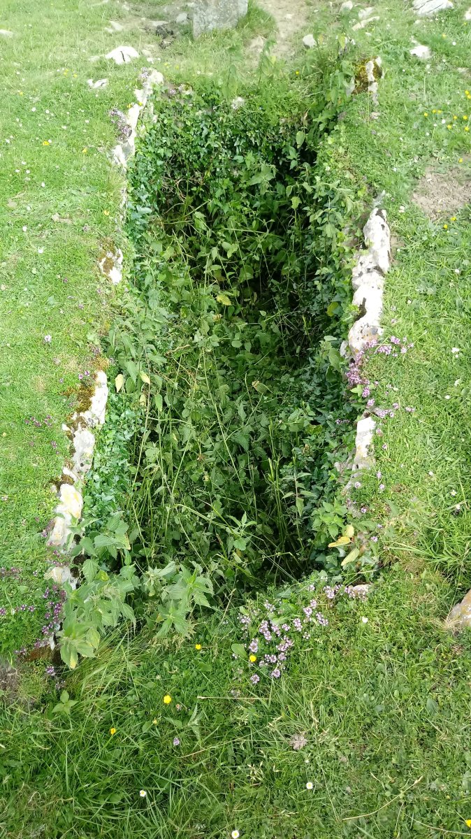 Organbide trikuharria 3