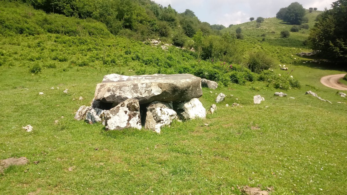 Jentilarri trikuharria 2