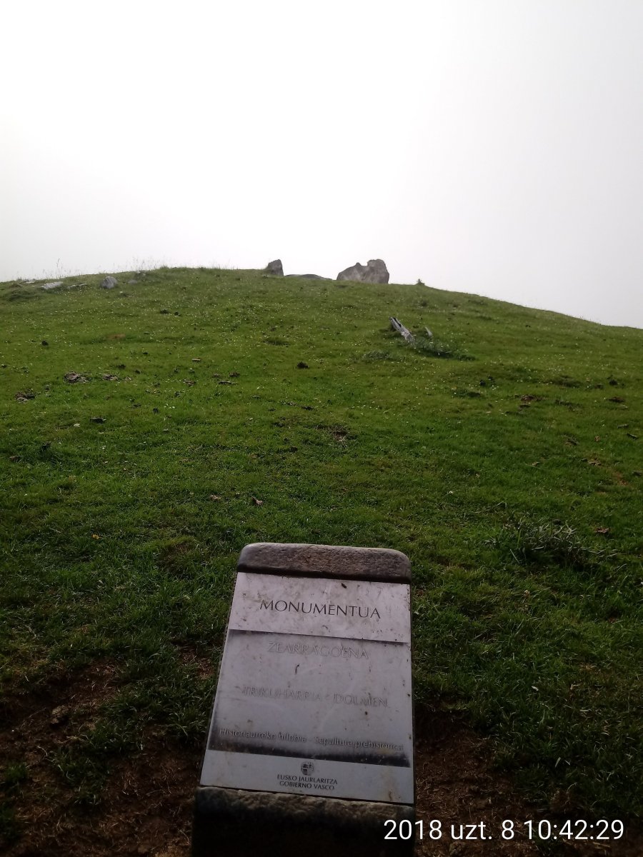 Zearragoena trikuharria 5