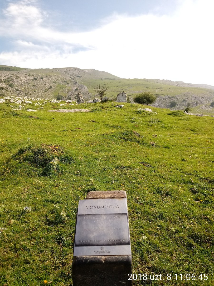 Uelogoena I Ip. trikuharria 5