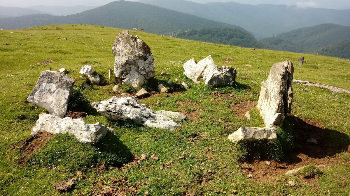 Uelogoena I Ip. trikuharria 2