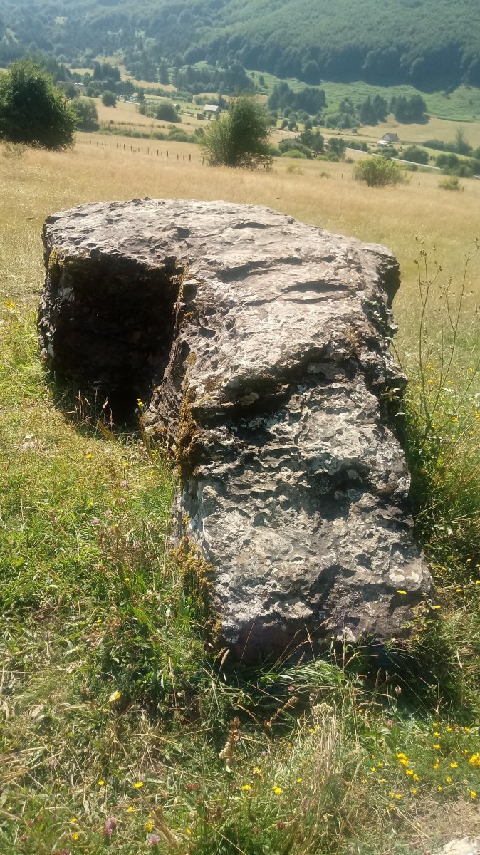 Arrako trikuharria 3, gaineko harria