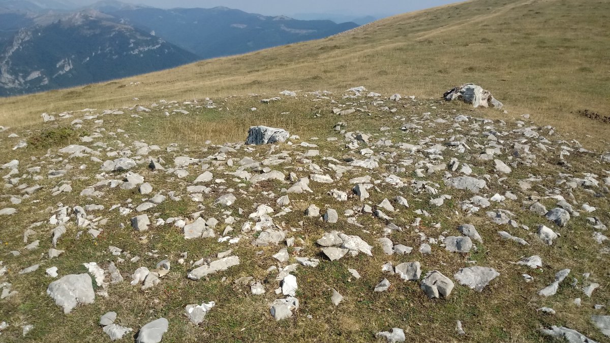 Largintia-Kakueta trikuharria 2