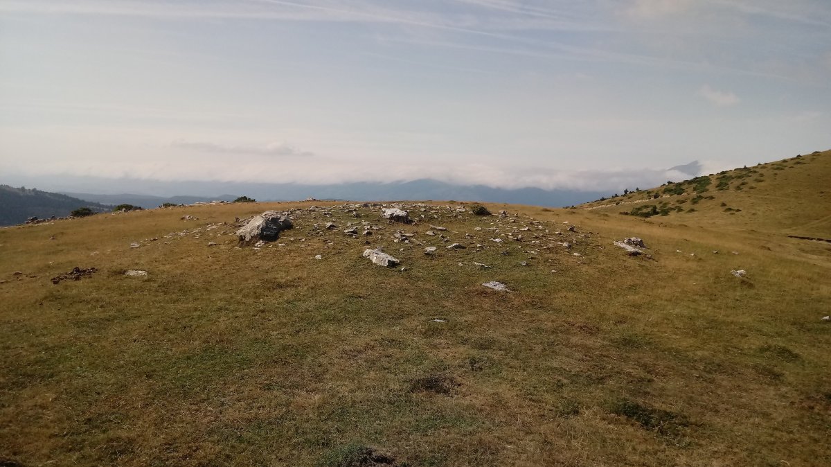 Largintia-Kakueta trikuharria (2018)