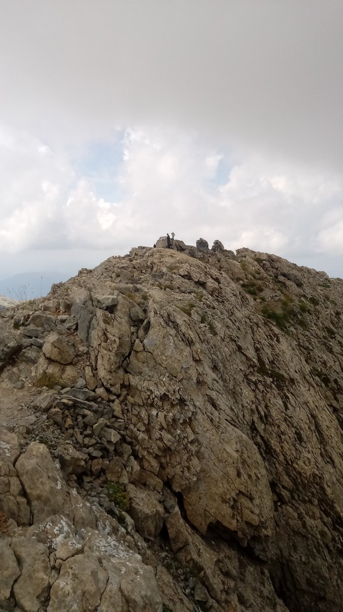 HEM tontorra ekialdetik