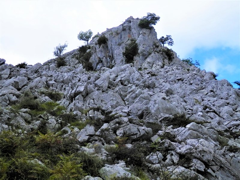 Betzuenburu