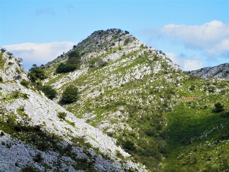 Gantzorrotz