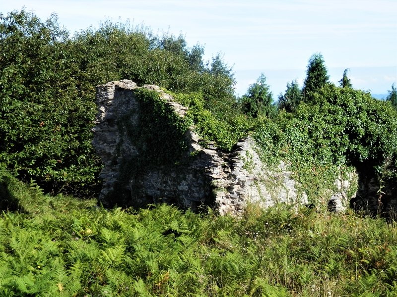 Gotorlekua