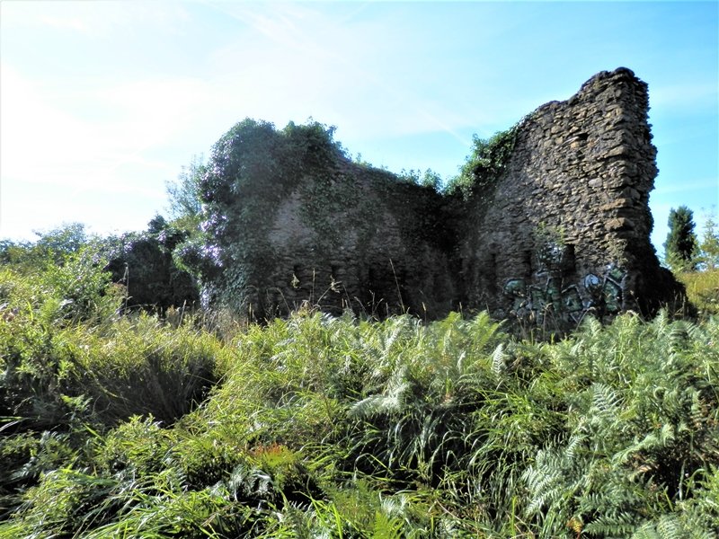 Gotorlekua