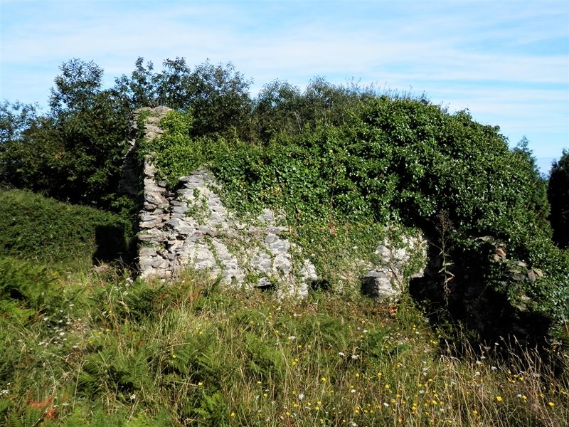 Gotorlekua