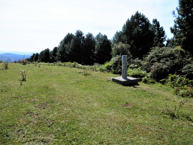 Tontorra