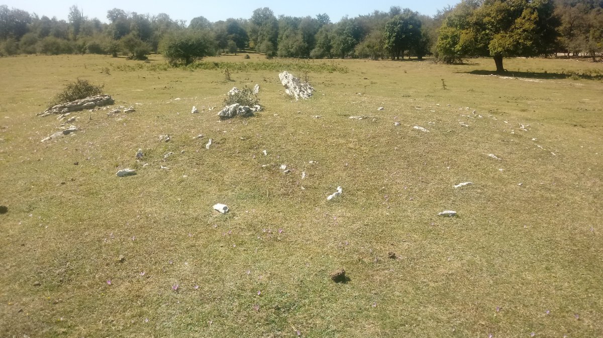 Larreaundi trikuharria 4