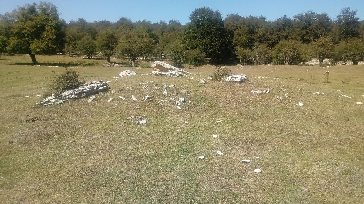 Larreaundi trikuharria 2