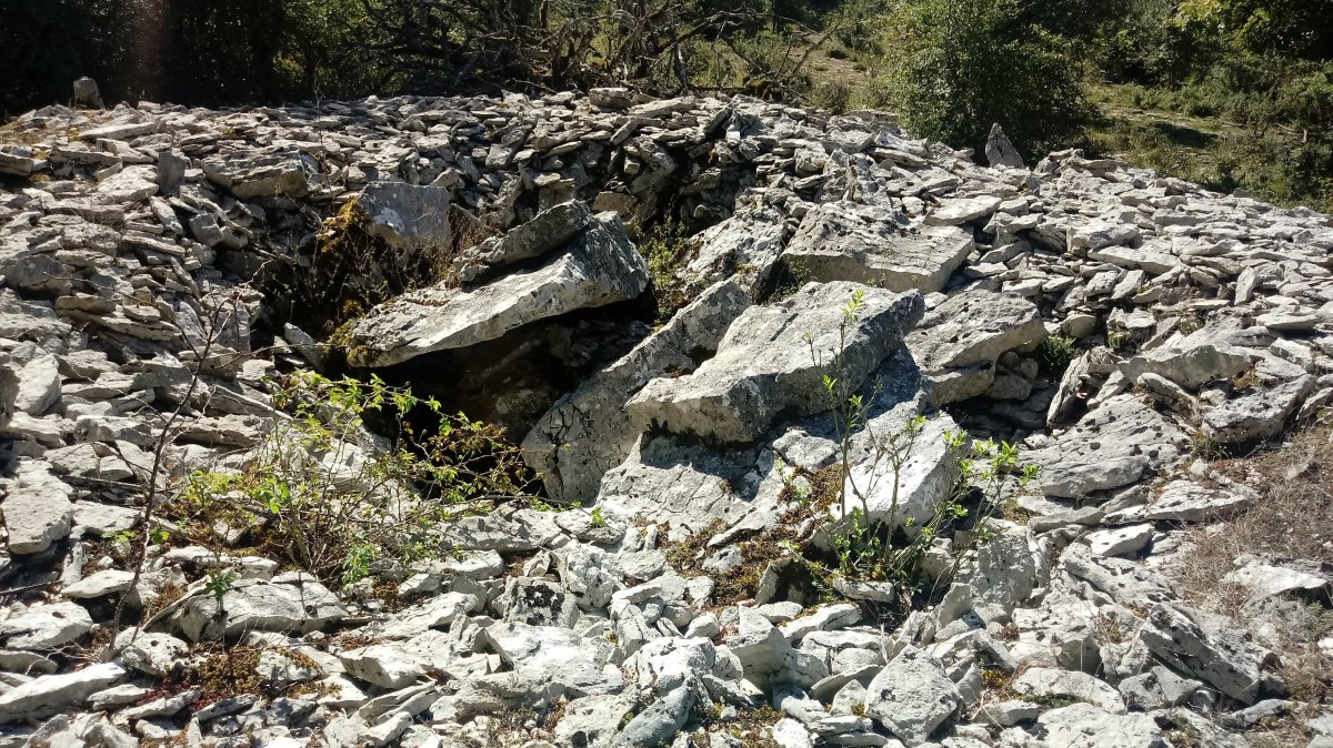 Armorkora Txikia trikuharria 3