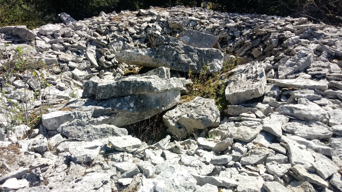 Armorkora Txikia trikuharria (2018)