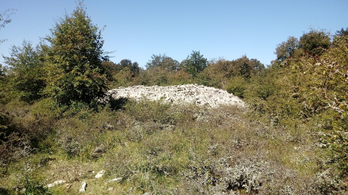 Armorkora Haundi  trikuharria 5