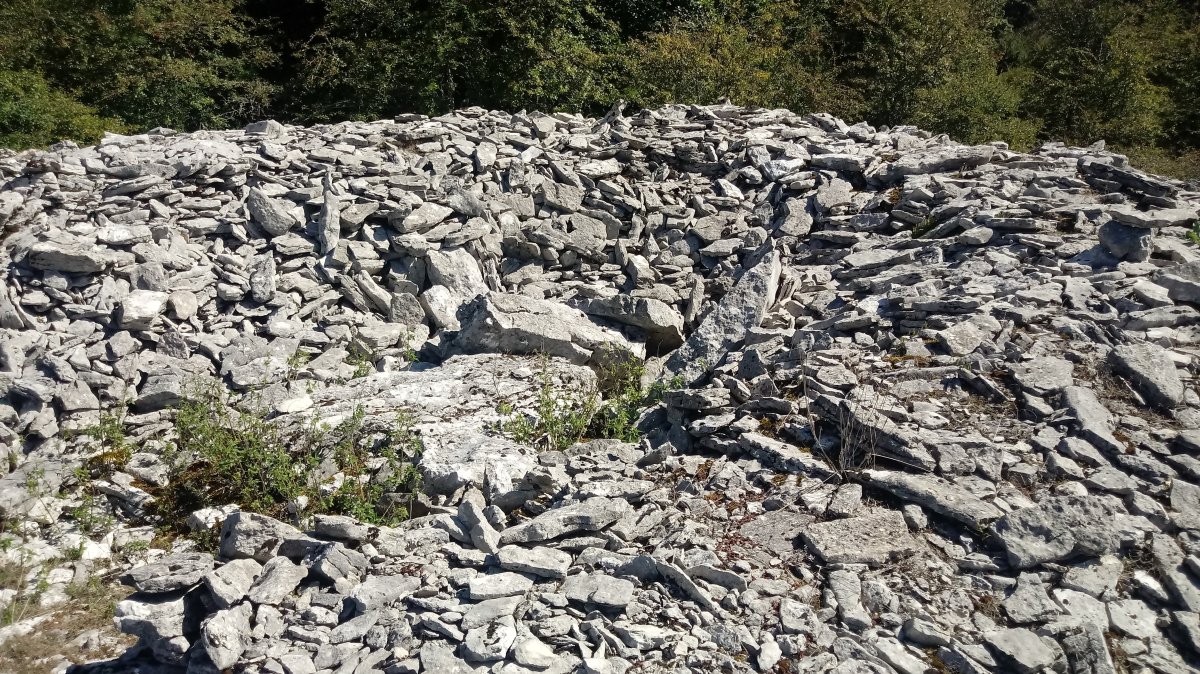 Armorkora Haundi trikuharria 4