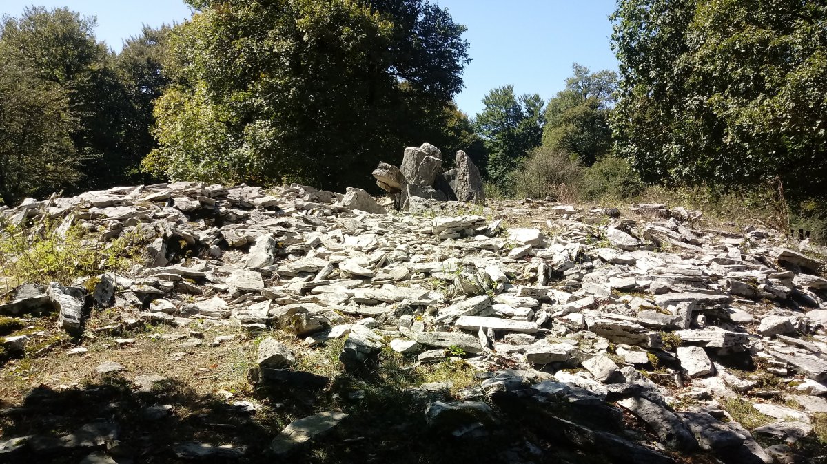 La Cañada trikuharria 2