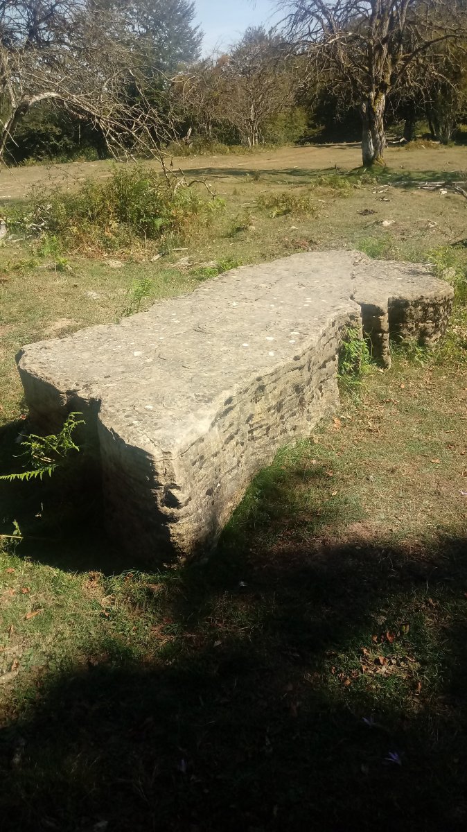Gortasoro II hego zutarria 2