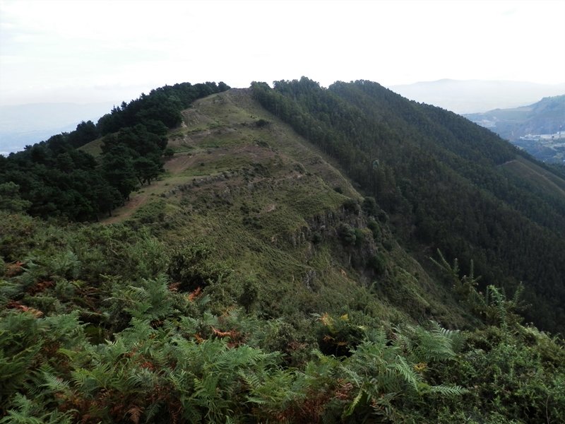 Sasiburutik