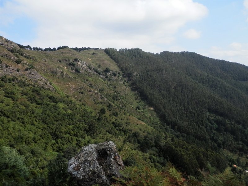 Arrolatza