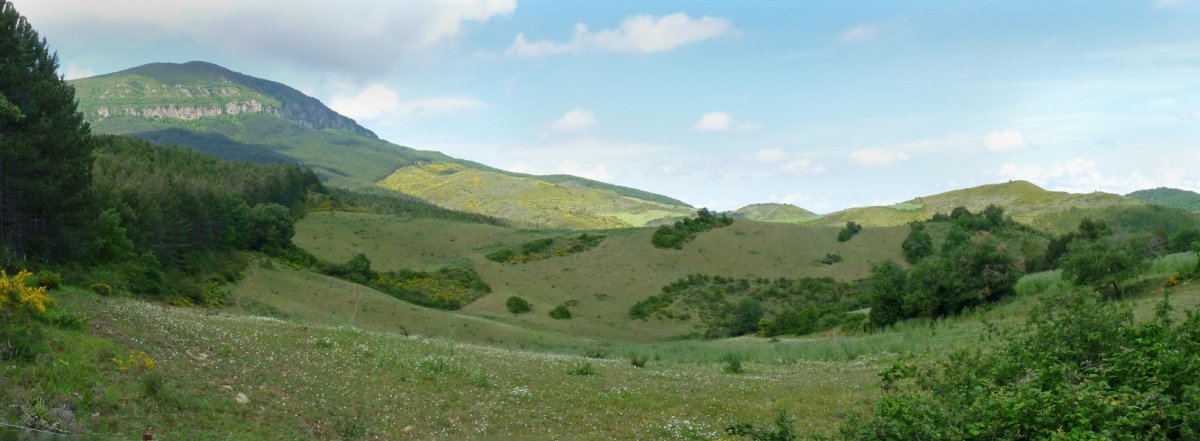 Itzaga, Izanotzetik