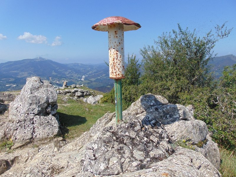 Buzoia