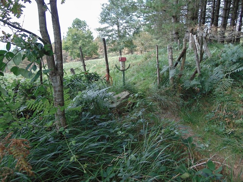Tontorra