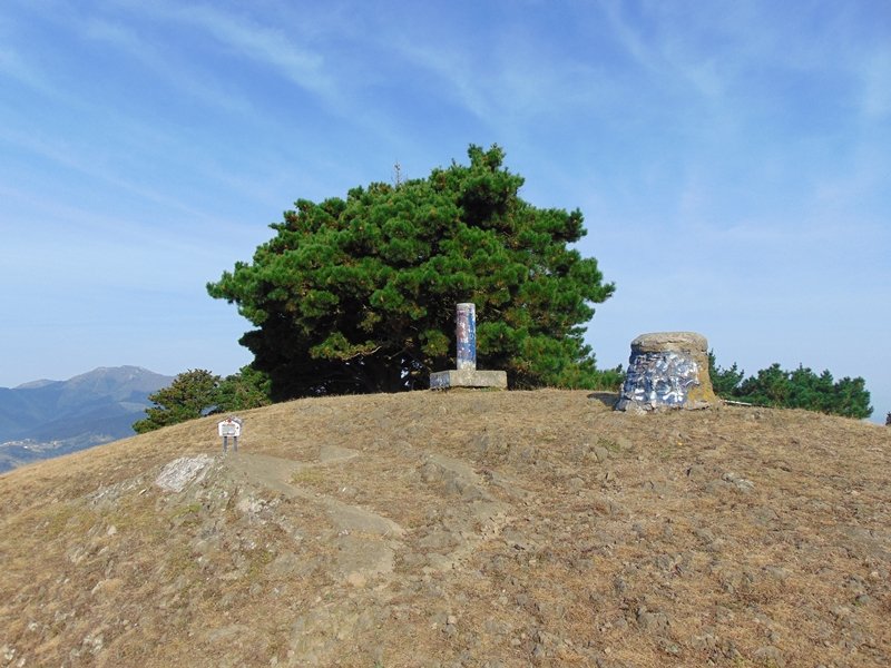 Tontorra
