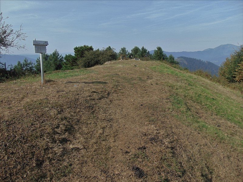 Tontorra