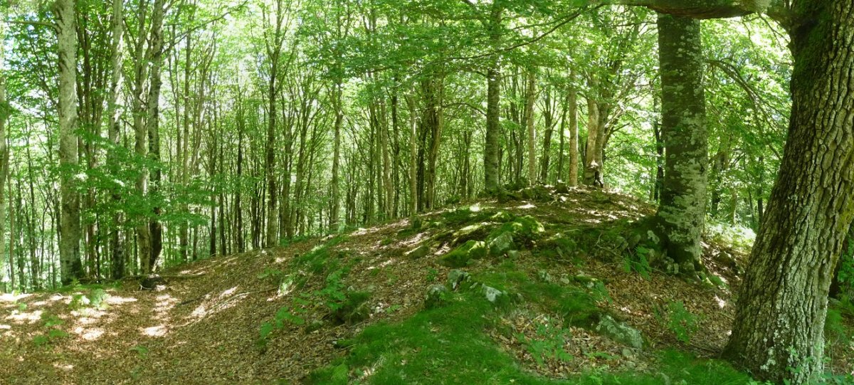 Gurbilgo gailurra