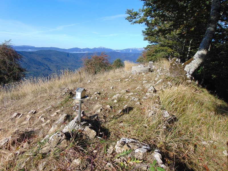 Tontorra