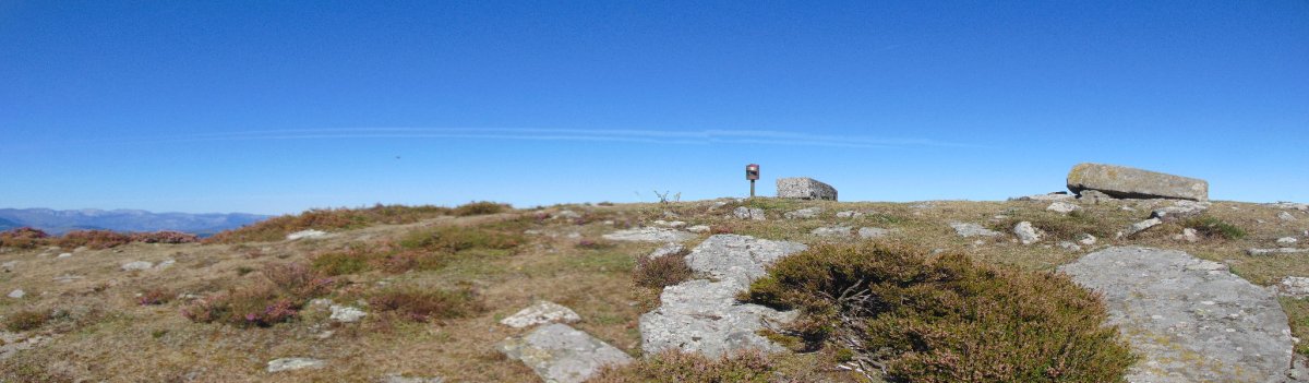 Tontorra