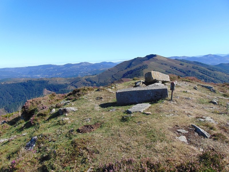 Tontorra