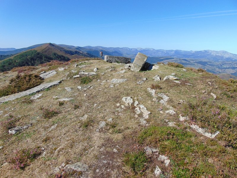 Tontorra