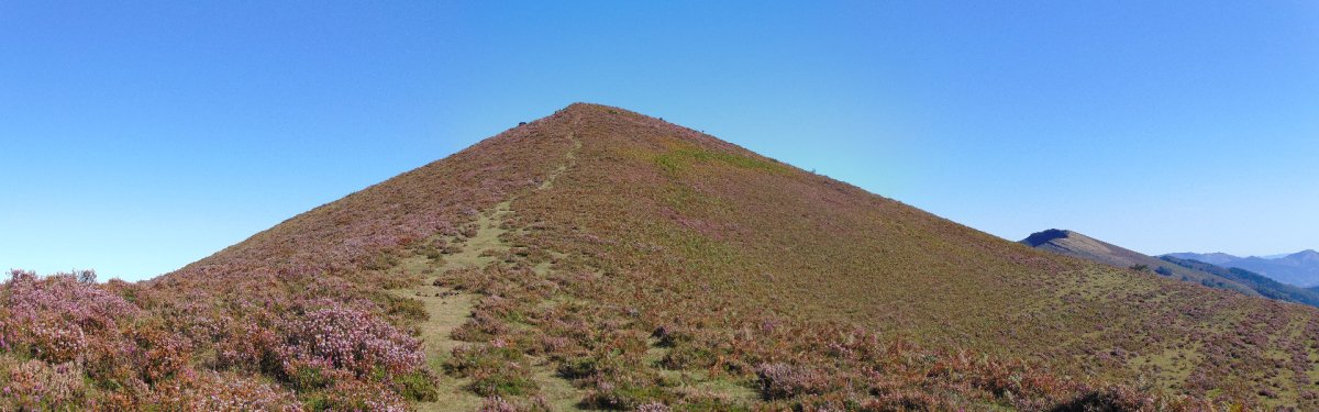 Maza de Pando