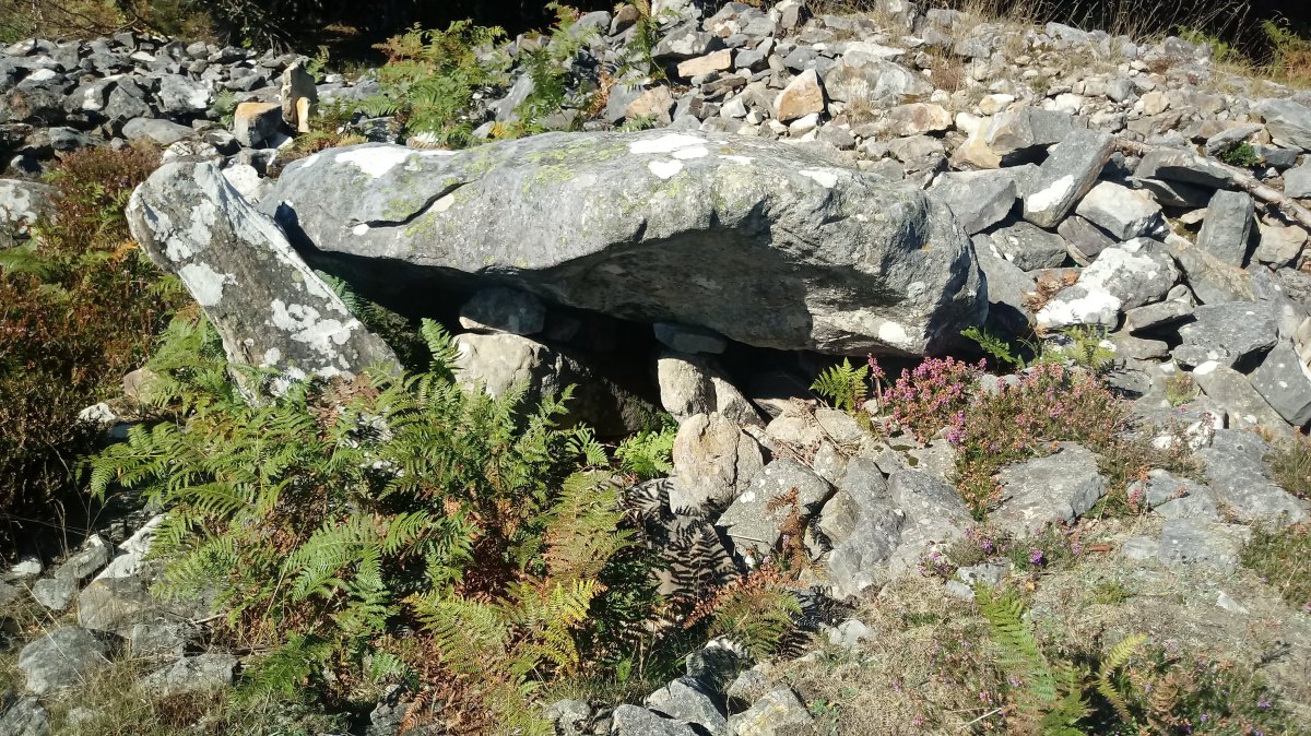 Arrobigaña trikuharria 2