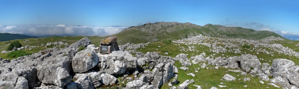 Arbeloko gailurra