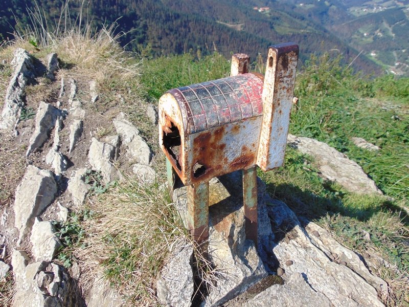 Buzoia
