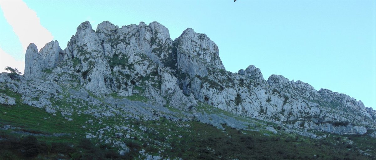 Axkorrigan