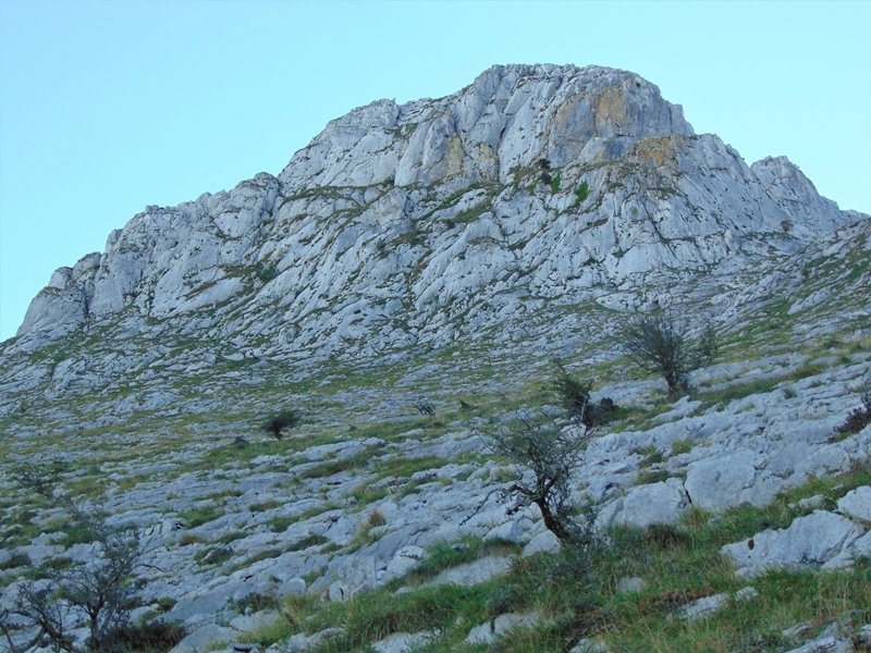 Axkorrigan