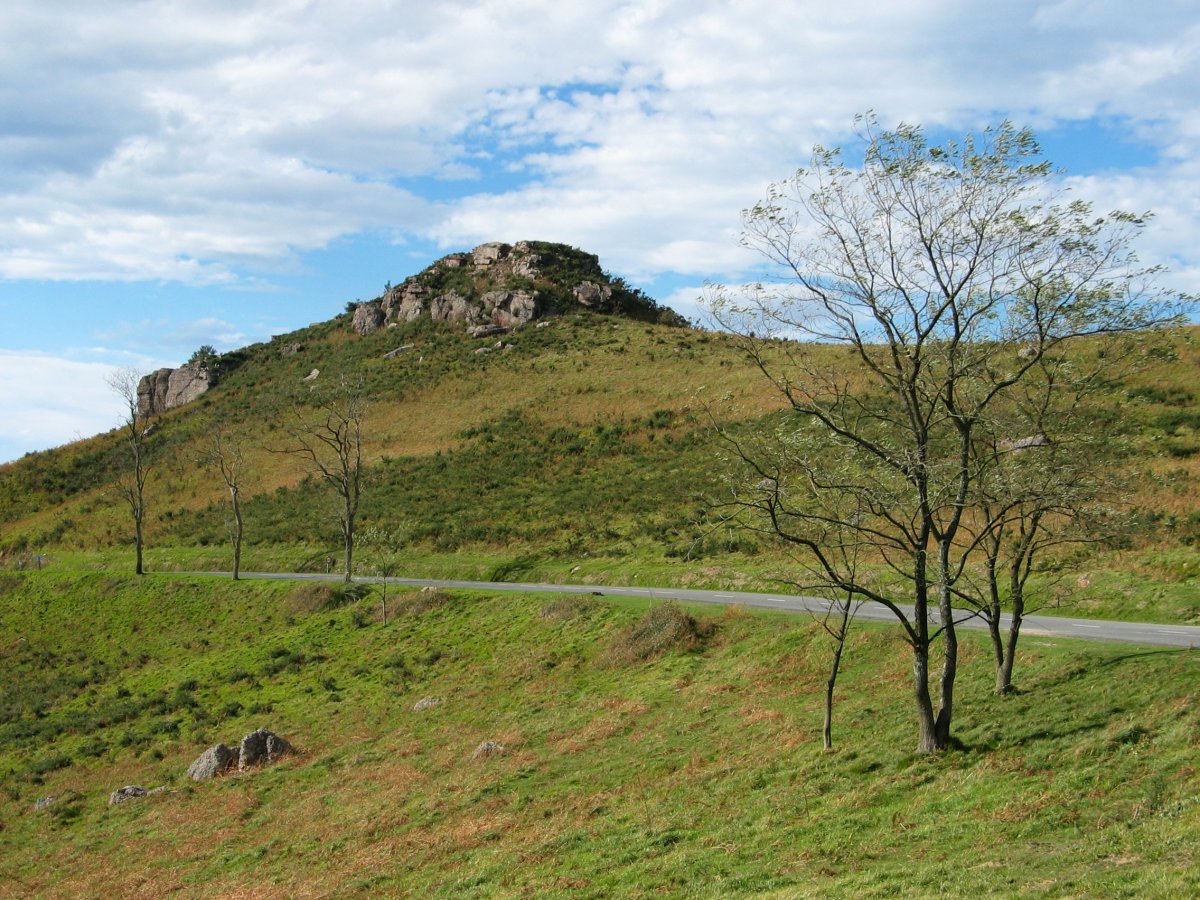 Pikoketa inguruak