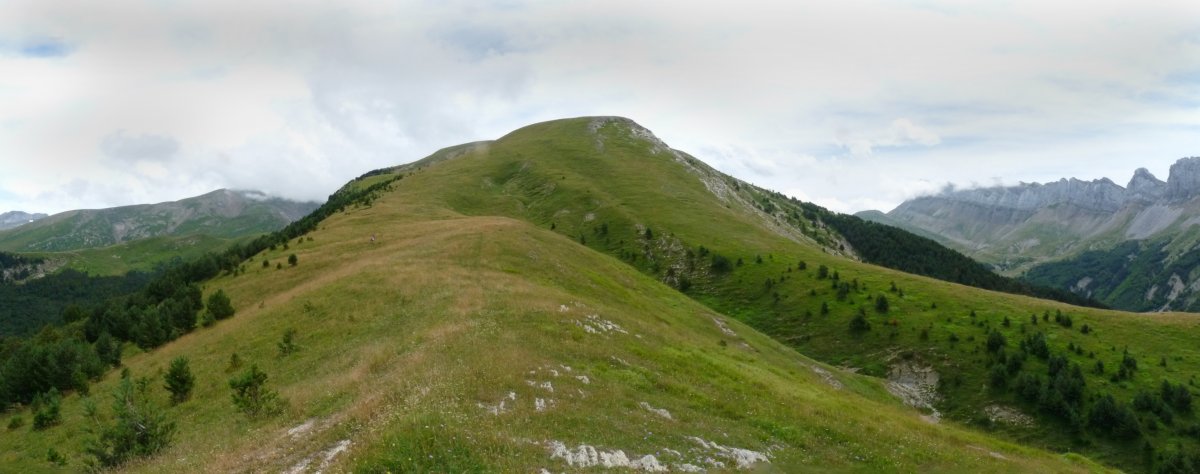 Pinareko gaindorra