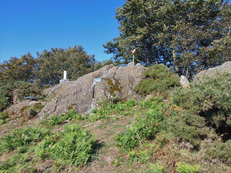 Tontorra