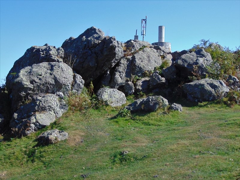 Tontorra