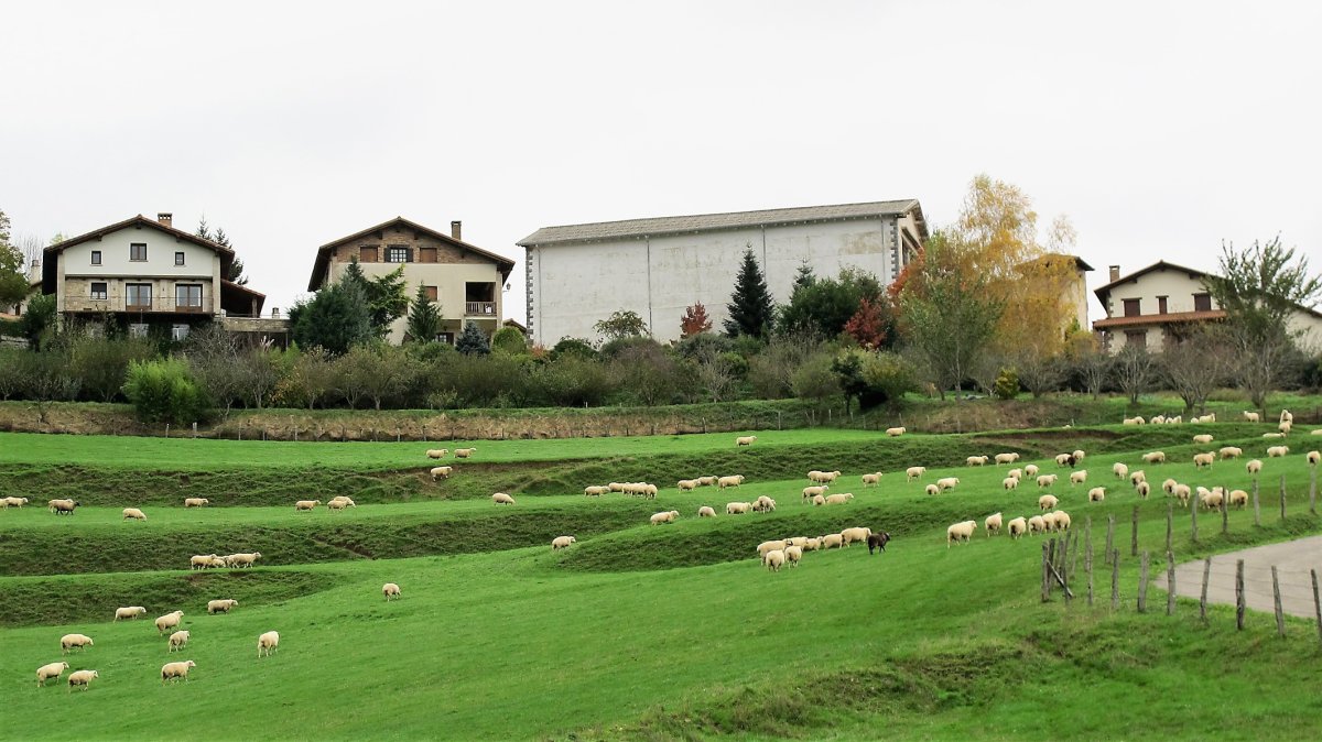 Igoa, Basaburua