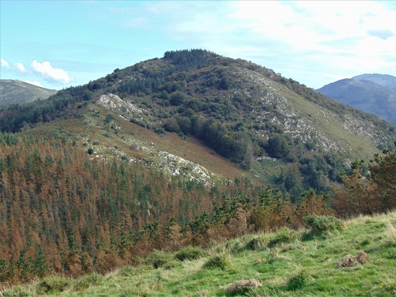 Arbiletik