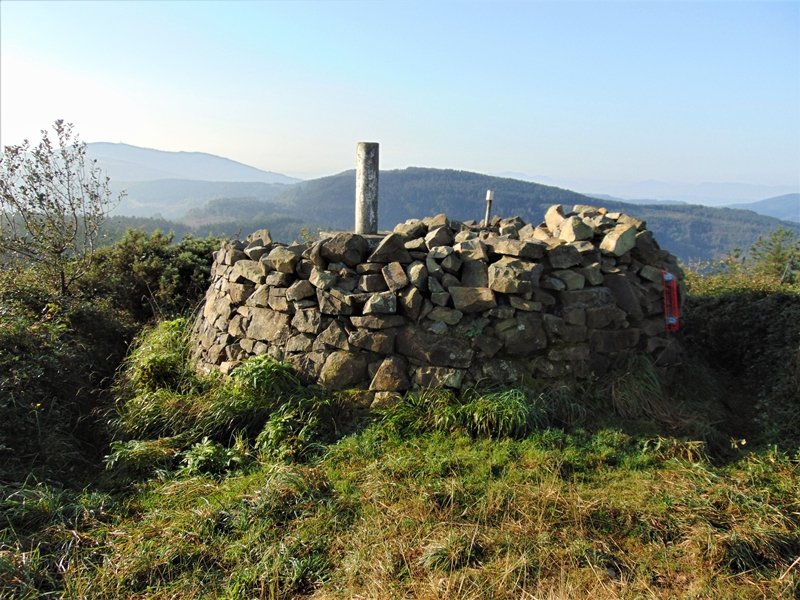 Tontorra