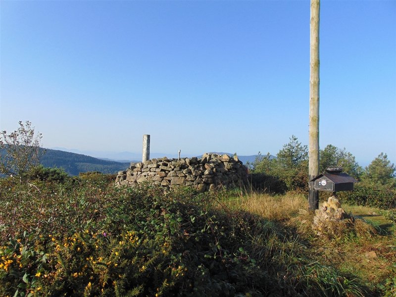 Tontorra