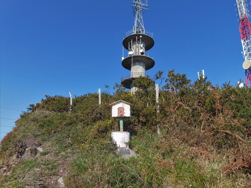 Tontorra
